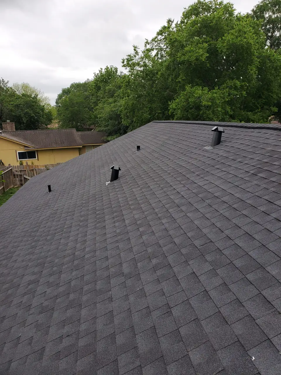 Freshly shingled roof with box vents installed for attic ventilation