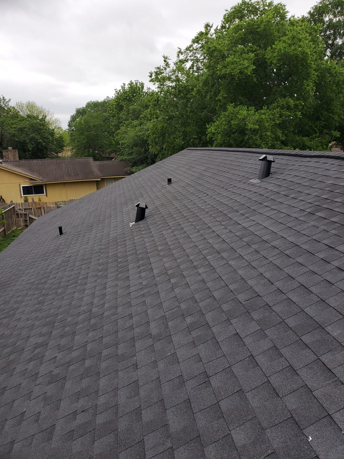 Freshly shingled roof with box vents installed for attic ventilation